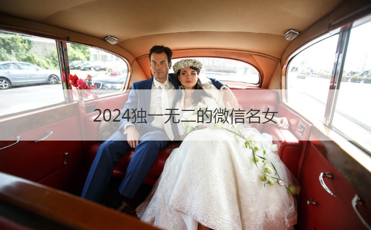 2024独一无二的微信名女  好听的女生