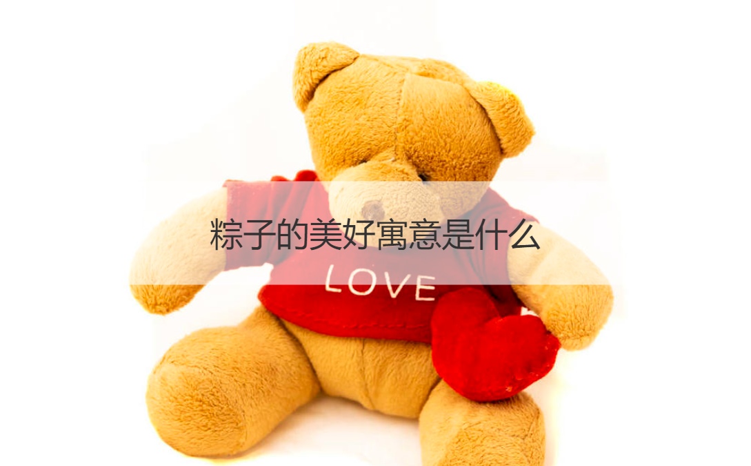 粽子的美好寓意是什么 粽子有几种类型