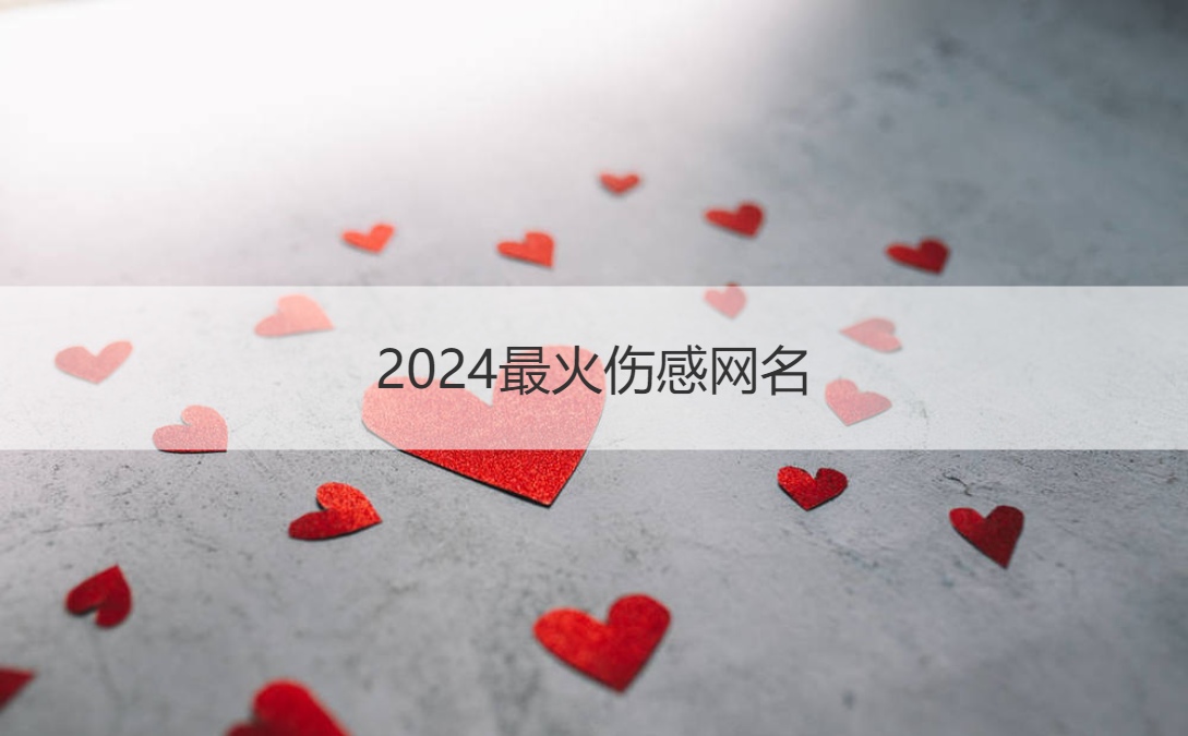 2024最火伤感网名  容易火的网名