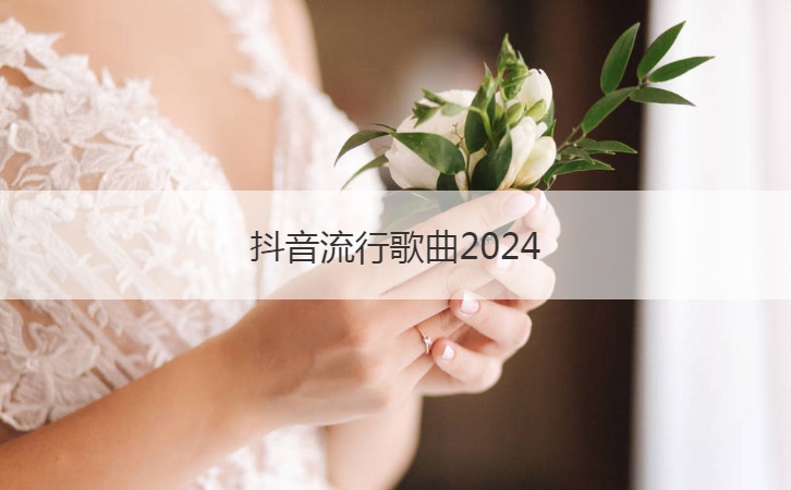 抖音流行歌曲2024  经典歌曲汇总