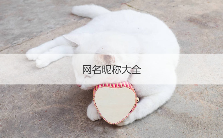 网名昵称大全 取一个独一无二的网名