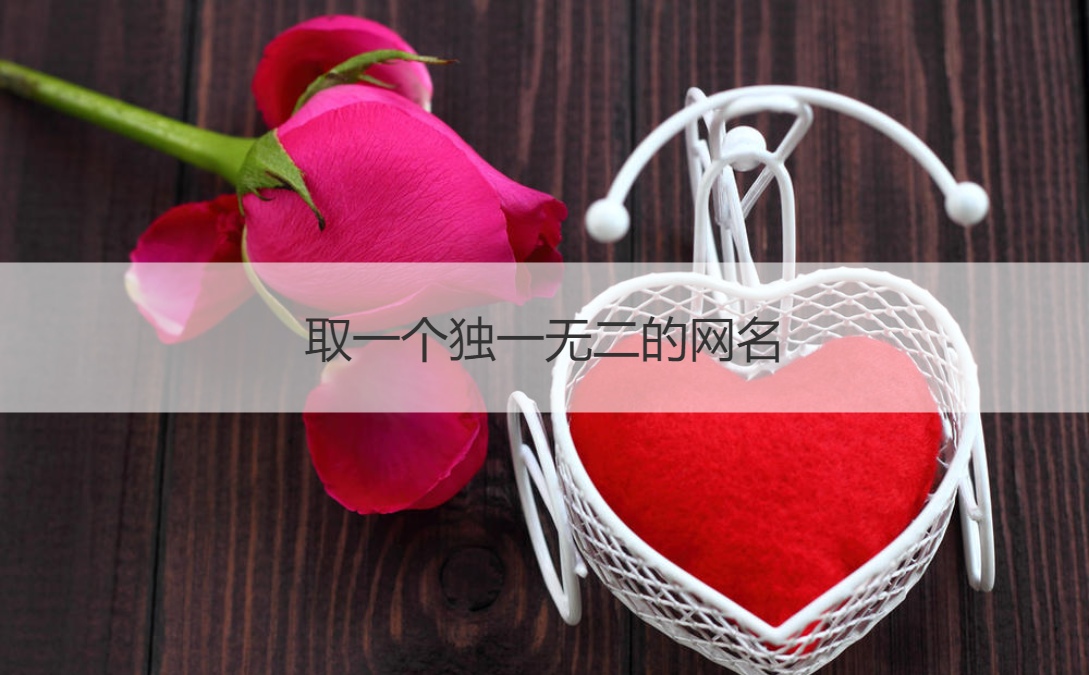 取一个独一无二的网名 网名的内涵