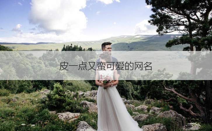 皮一点又蛮可爱的网名  有创意的微信网名