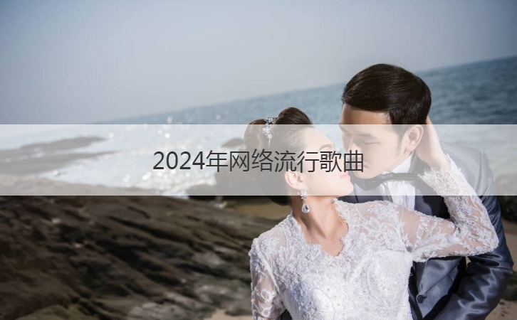 2024年网络流行歌曲  欢乐的流行歌曲