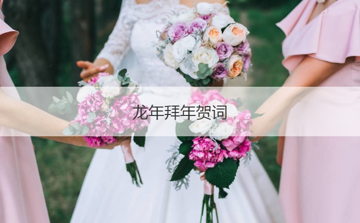 龙年拜年贺词  新年祝福语诙谐幽默