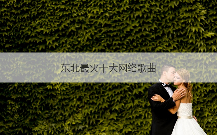 东北最火十大网络歌曲  现在最火的音乐