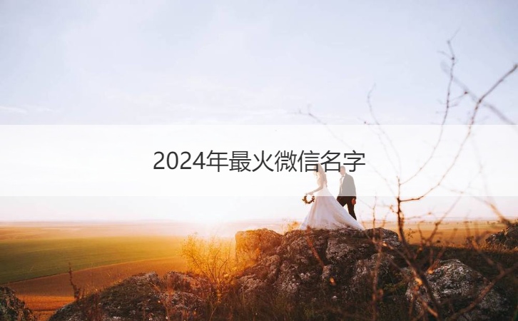 2024年最火微信名字   独一无二的微