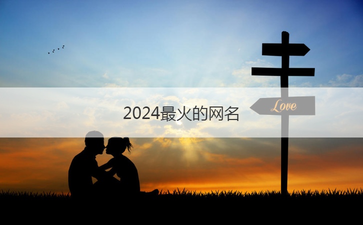 2024最火的网名  情商高有幽默感的网