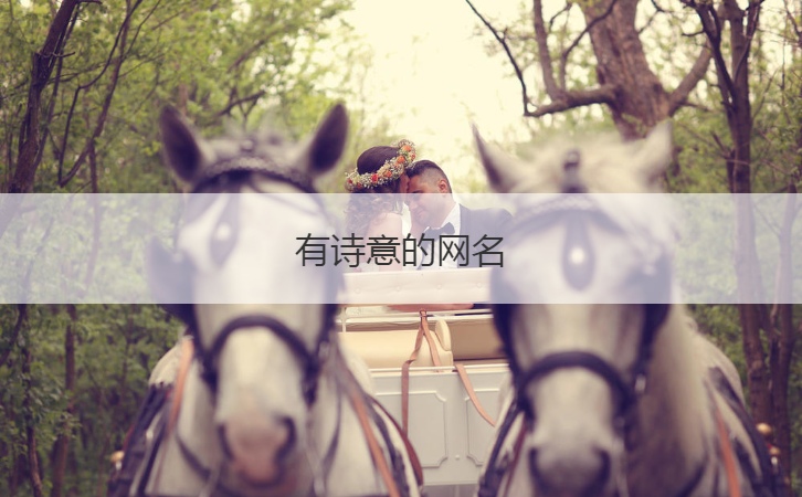 有诗意的网名  好听的网名女生古风(图1)