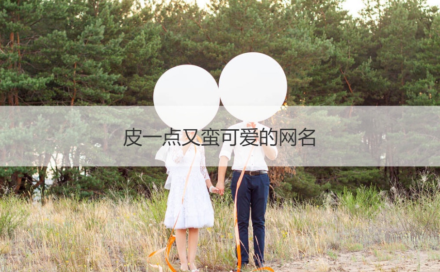 皮一点又蛮可爱的网名 带皮字的网名可爱