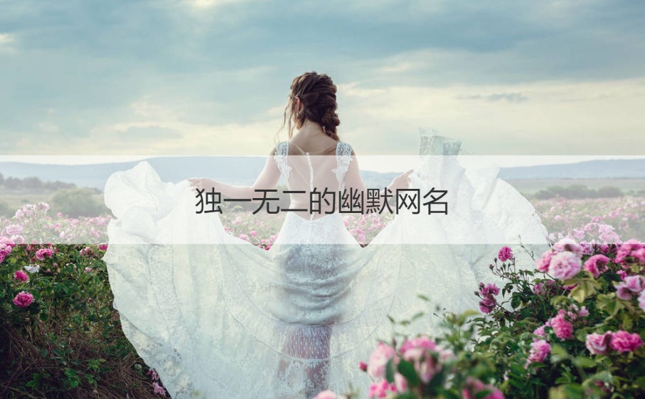 独一无二的幽默网名 最牛网名大全