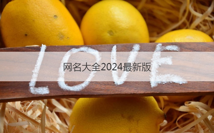 网名大全2024最新版  2024情商高
