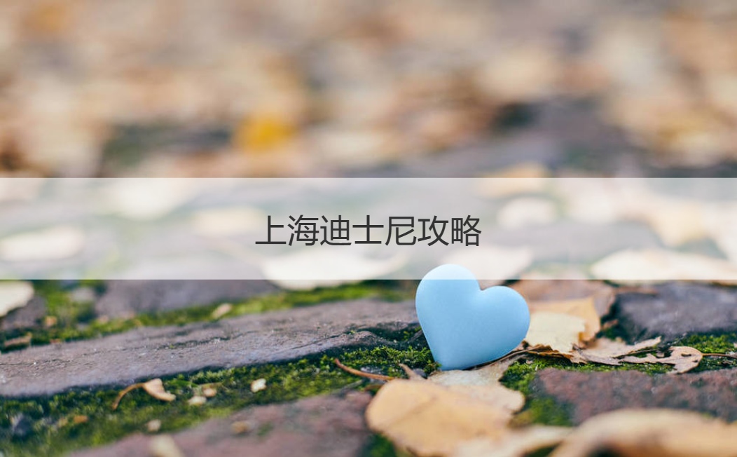 上海迪士尼攻略 迪士尼求婚需要费用吗