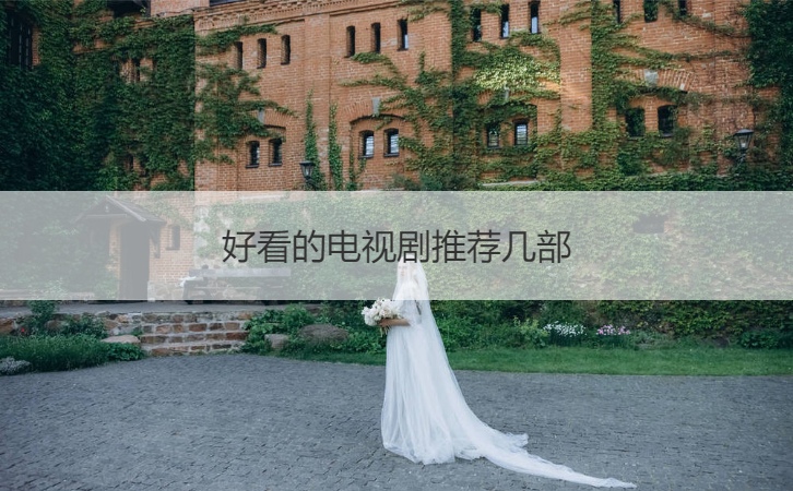 好看的电视剧推荐几部  熬夜也要看的电视剧(图1)