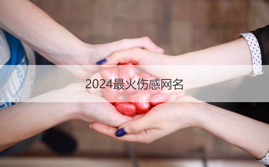 2024最火伤感网名  2024年最火的