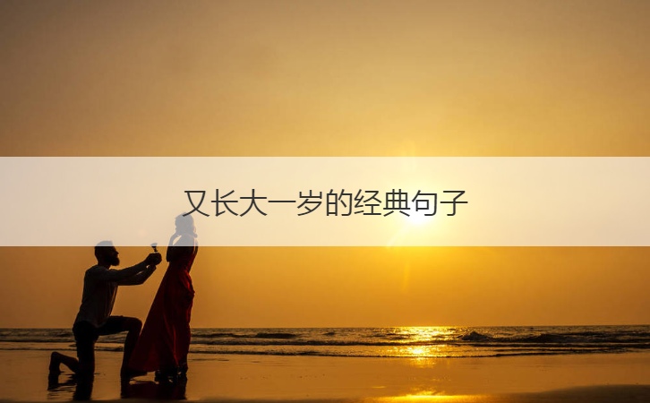 又长大一岁的经典句子  又长大一岁的唯美句子
