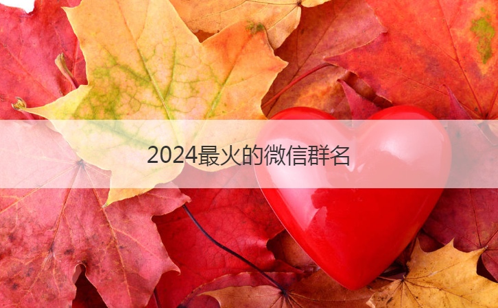 2024最火的微信群名  好听的家庭微信