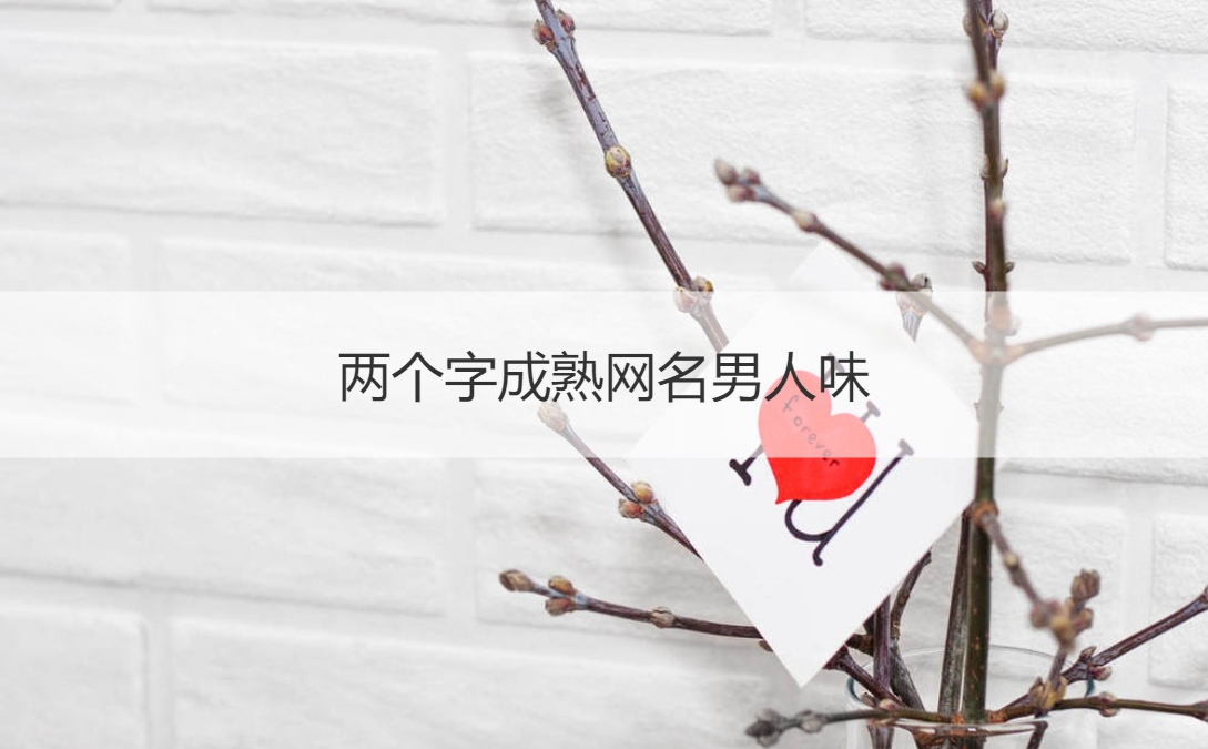 两个字成熟网名男人味 男孩取名不能用的字