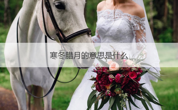 寒冬腊月的意思是什么  什么是腊月