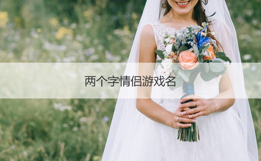 两个字情侣游戏名 二人情侣专属昵称