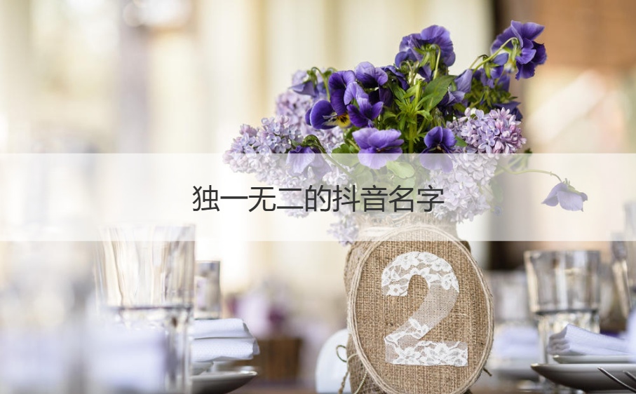 独一无二的抖音名字 简单又好听的抖音名称