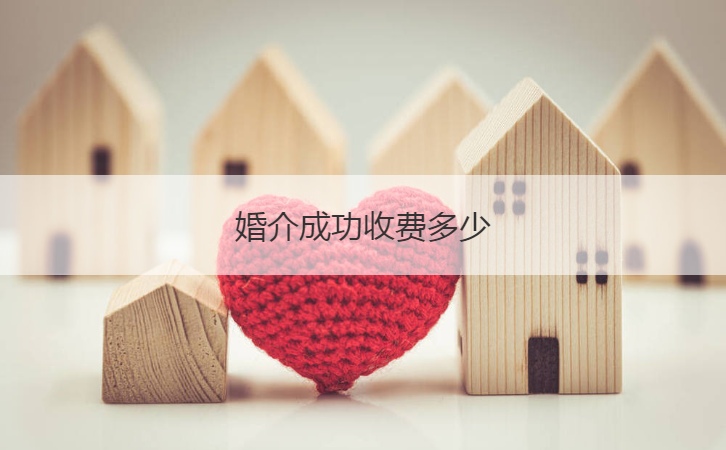 婚介成功收费多少  婚介都有哪些
