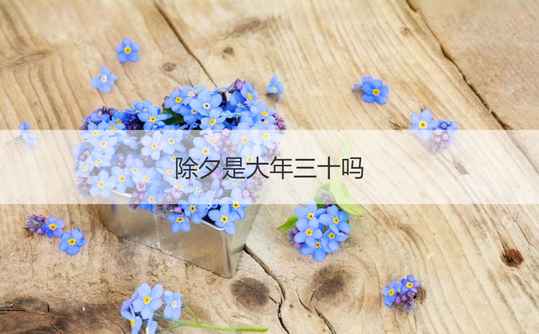 除夕是大年三十吗 除夕有哪些习俗