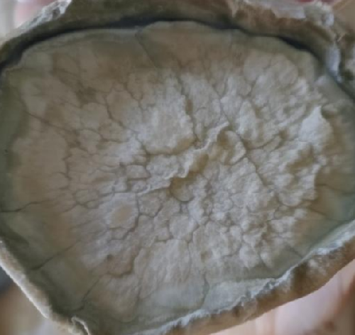 砂浆多少钱一吨(图3)