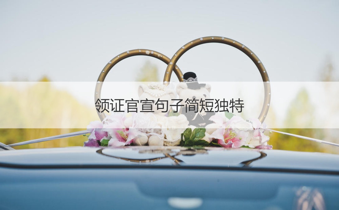  领证官宣句子简短独特 领证文案治愈(图1)