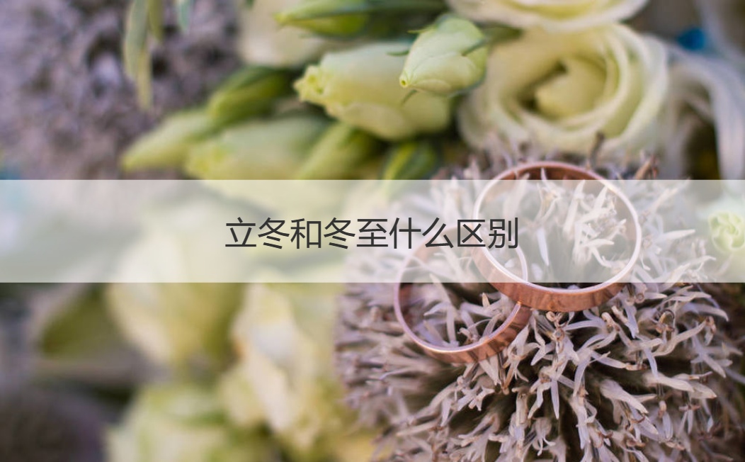  立冬和冬至什么区别 冬至吃饺子的寓意(图1)
