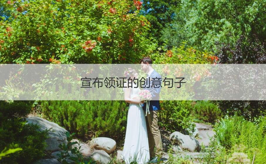 宣布领证的创意句子  宣布领证的创意句子(图1)