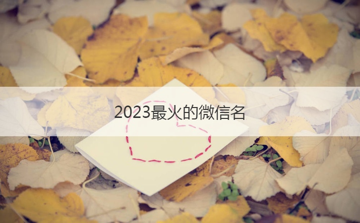 2023最火的微信名  微信网名汇总(图1)