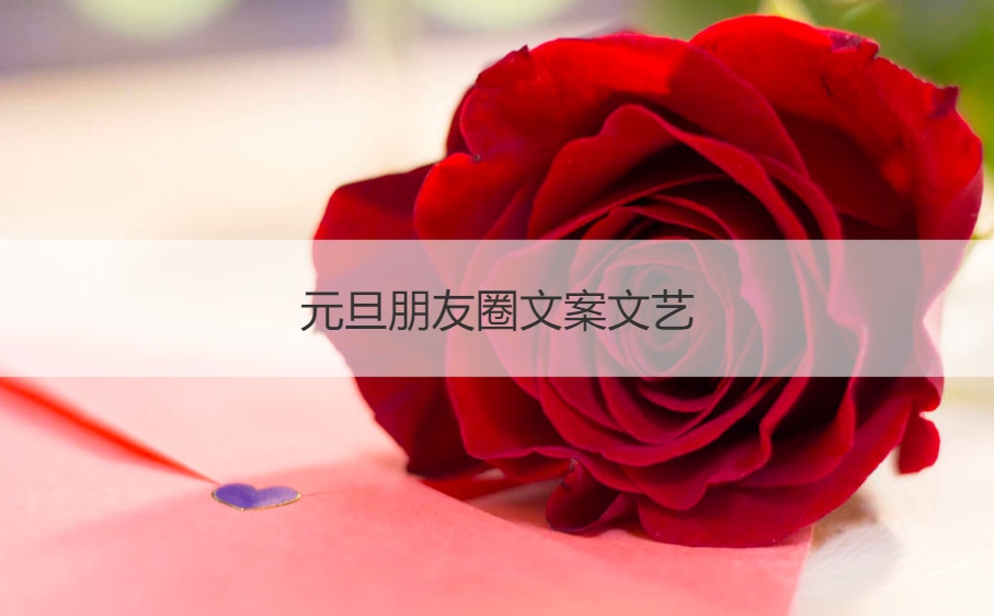 元旦朋友圈文案文艺 元旦走心文案(图1)
