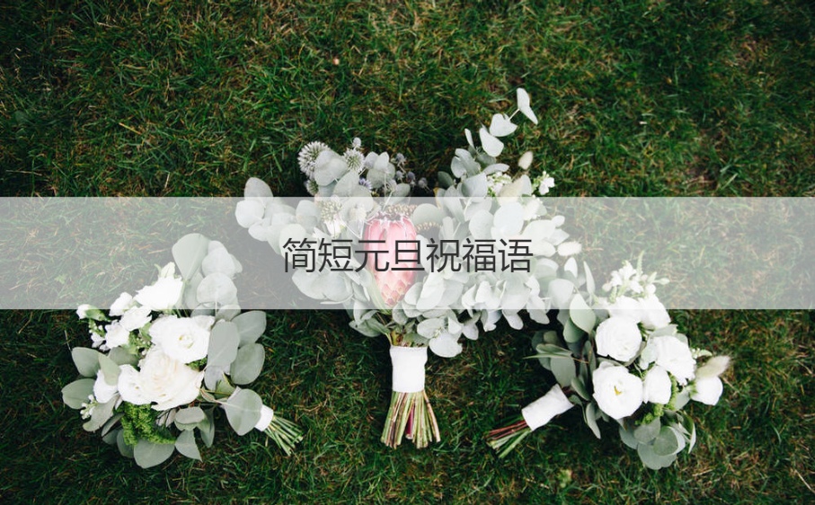 简短元旦祝福语 元旦节快乐祝福文案(图1)