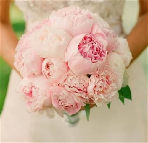 低调宣布结婚短句有哪些 结婚定日子有哪些讲究(图2) 低调宣布结婚短句有哪些 结婚定日子有哪些讲究(图2)