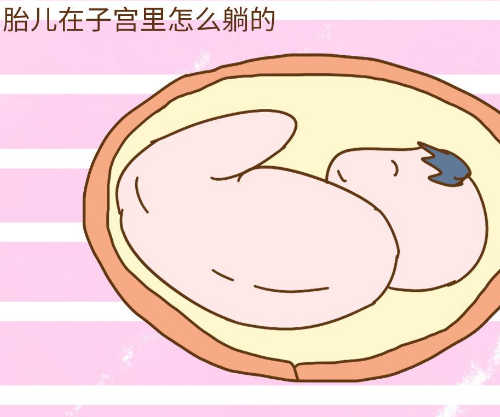 胎动右边多是什么原因 右侧胎动多次腿在动吗(图3) 胎动右边多是什么原因 右侧胎动多次腿在动吗(图3)
