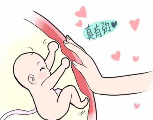 胎儿动的频繁是什么原因 胎儿胎动频繁怎么办(图3) 胎儿动的频繁是什么原因 胎儿胎动频繁怎么办(图3)