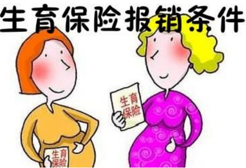 申请生育保险需要什么证件 怀孕产检怎么用生育险(图3) 申请生育保险需要什么证件 怀孕产检怎么用生育险(图3)