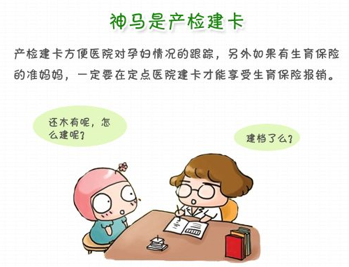 产检建卡是什么意思 怀孕不建卡行不行(图1) 产检建卡是什么意思 怀孕不建卡行不行(图1)