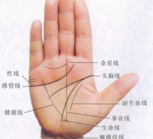 手相怎么看婚姻 手相怎么看有几次婚姻(图1) 手相怎么看婚姻 手相怎么看有几次婚姻(图1)