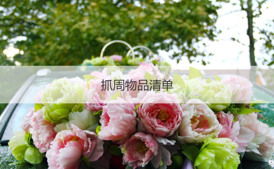 抓周物品清单 抓周的物品各代表什么(图1)