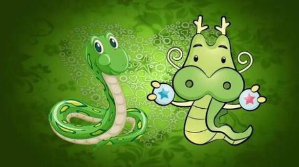 属兔的和属龙的婚姻相配怎么样 属龙的和什么属相最配(图3) 属兔的和属龙的婚姻相配怎么样 属龙的和什么属相最配(图3)