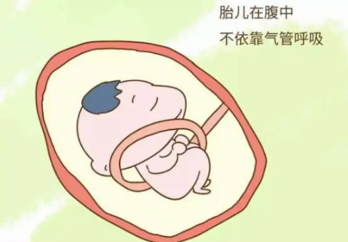 怎样胎儿才不容易绕颈 胎儿绕颈一圈怎样改善