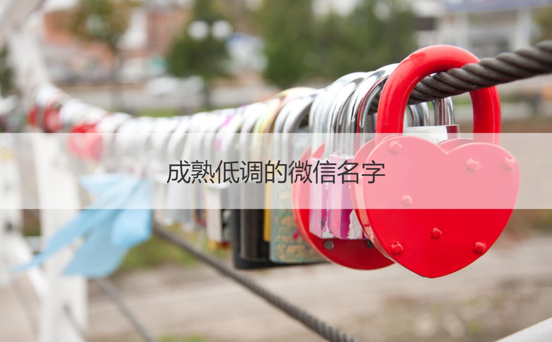 成熟低调的微信名字 微信名怎么取(图1)