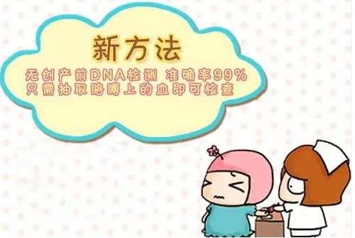 产检无创是检查什么 为什么高龄产妇慎用无创DNA(图3) 产检无创是检查什么 为什么高龄产妇慎用无创DNA(图3)