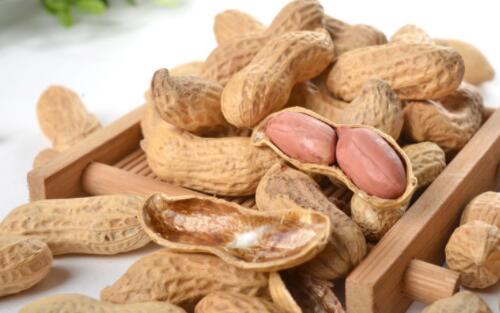 孕妇可以吃花生吗 孕妇吃花生是吃生的好还是熟的好(图2) 孕妇可以吃花生吗 孕妇吃花生是吃生的好还是熟的好(图2)