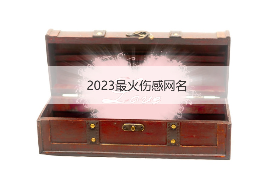 2023最火伤感网名   让人伤感失落的名字(图1)