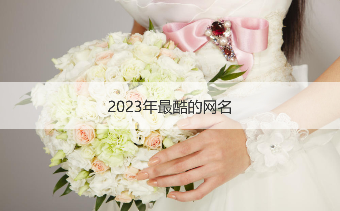 2023年最酷的网名 2023年最火的网名(图1)