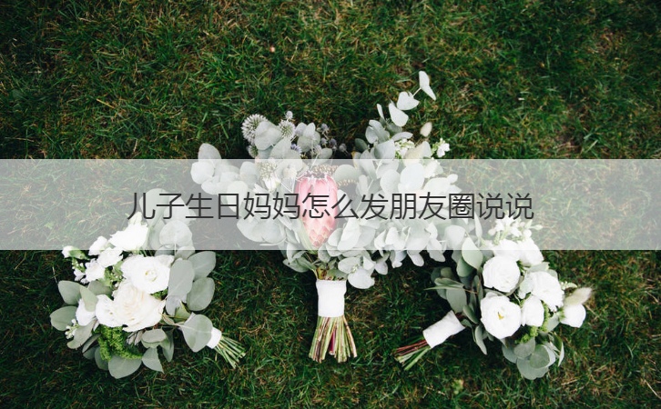 儿子生日妈妈怎么发朋友圈说说  儿子生日最暖心短句(图1)