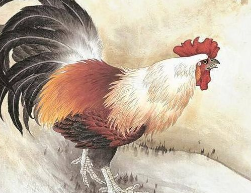 属鸡的今年运势怎么样 93年属鸡的姻缘在哪年28岁(图4) 属鸡的今年运势怎么样 93年属鸡的姻缘在哪年28岁(图4)